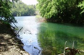 Šuma uz jezero-mogućnost zamjene, Lokve, Zemljište