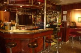 Caffe bar, poslovni prostor i stan, Josipdol, Commercial property