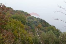 BRSEČ - 7.067 m2 - NEGRAĐEVINSKI TEREN, Mošćenička Draga, Terrain