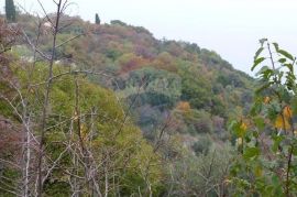 BRSEČ - 7.067 m2 - NEGRAĐEVINSKI TEREN, Mošćenička Draga, Arazi