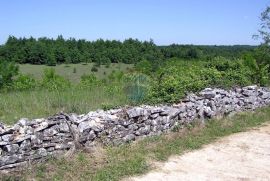 Veliko građevinsko i poljoprivredno zemljište u središnjoj Istri, Žminj, Terreno