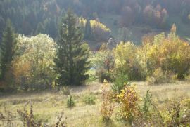 Prezid- Građevinsko zemljište+poljoprivredno, Čabar, Terrain