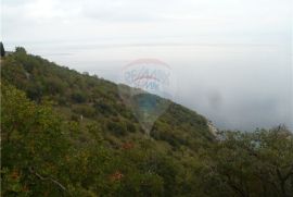 BRSEČ - 26.000 m2 - POLJOPRIVREDNOG TERENA UZ MORE, Mošćenička Draga, Arazi