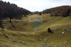 OGROMNO IMANJE!!! LIVADE I ŠUME  83199 m2, Ogulin, Terrain