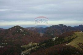 OGROMNO IMANJE!!! LIVADE I ŠUME  83199 m2, Ogulin, Zemljište