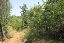 Rubeši, Građevinsko zemljište1500m2,172500,00€,dobra lokacija, Kastav, Land