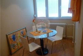 TROSOBAN SA DNEVNIM NA BELVEDERU, Rijeka, Appartement