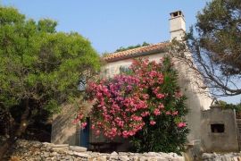 VELIKO ZEMLJIŠTE NA CRESU SA STARINOM, Cres, House