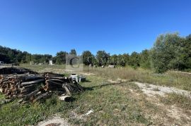 Istra Roč kamena starina sa zemljištem!, Buzet, Land