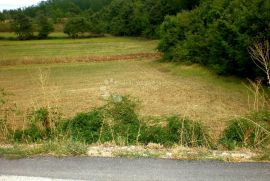 PROSTRANO GRAĐEVINSKO ZEMLJIŠTE, Kanfanar, Land