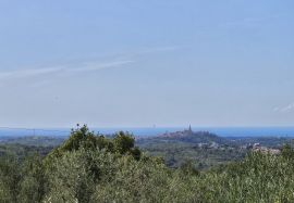 Istarska vila s otvorenim pogledom na bujštinu i more, Buje, Σπίτι