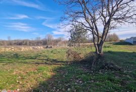 ISTRA, VREĆARI, GRAĐEVINSKO ZEMLJIŠTE, 570 M2, Sveta Nedelja, Terrain