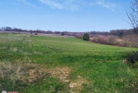 ISTRA, KANFANAR - BARAT, GRAĐEVINSKO ZEMLJIŠTE, Kanfanar, أرض