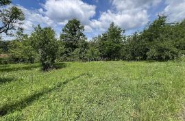 Slavonski Brod, House