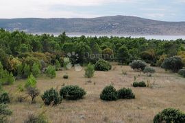 Zemljište u Parku prirode Velebit, Starigrad, Terrain