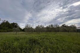 Istra, Juricani, građevinsko zemljište 860m2 u blizini Umaga, Umag, Land