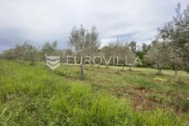 Istra, Juricani, građevinsko zemljište 860m2, okolica Umaga, Umag, Земля