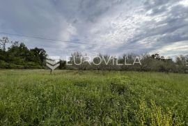 Istra, Juricani, građevinsko zemljište 860m2, okolica Umaga, Umag, Land