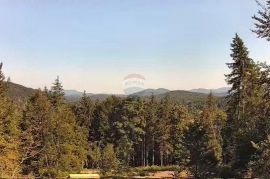 Gorski kotar, Brod Moravice - šumsko zemljište sa svom dokumentacijom za gradnju šumarske kuće, Brod Moravice, Terrain