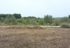 Umag - atraktivan teren s projektom, Umag, Terrain