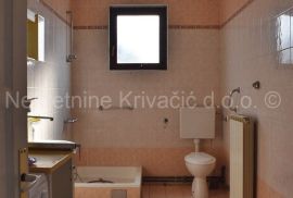 Stambeno - poslovna građevina pogodna za hostel, Bjelovar, Commercial property