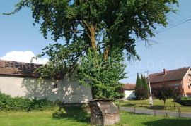 Garešnica  - obiteljska kuća, Garešnica, House