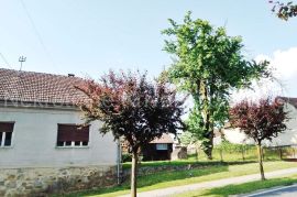 Garešnica  - obiteljska kuća, Garešnica, House