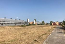 FARMA KOKA NESILICA, Magadenovac, Commercial property