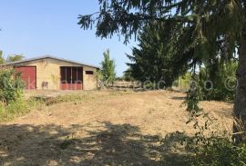 FARMA KOKA NESILICA, Magadenovac, Commercial property