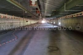 FARMA KOKA NESILICA, Magadenovac, Propiedad comercial