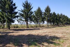 FARMA KOKA NESILICA, Magadenovac, Commercial property