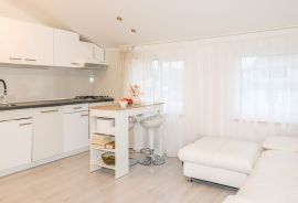 Predivan stan nedaleko Rovinja, Rovinj, Apartamento