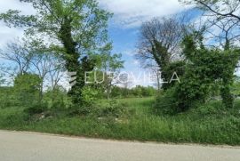 Istra, Sveti Ivan, građevinsko zemljište 12.005m2, Višnjan, Land