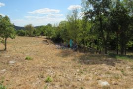 Buzet - građevinsko zemljište, Buzet, Terreno