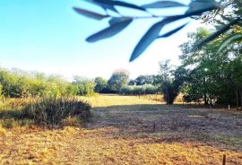 Istra,Umag okolica-Atraktivno poljoprivredno zemljište, Umag, Land