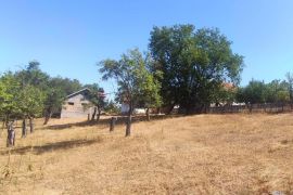 Arandjelovac, imanje - 570m2, 4.6ha ID#1791, Aranđelovac, Σπίτι