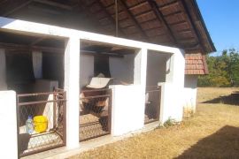 Arandjelovac, imanje - 570m2, 4.6ha ID#1791, Aranđelovac, Casa