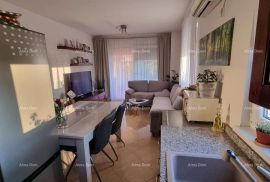 Stan Prodaje se stan u prizemlju, Tar-Vabriga, Poreč, Apartamento