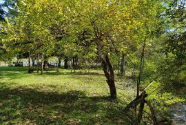 Prodaja zemljista, Pale, Land