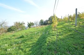 Poljoprivredno zemljište na lijepoj poziciji - Šulinec, Sveti Ivan Zelina, Terrain