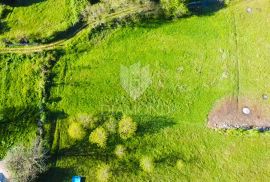 Poreč, okolica, rubno zemljište sa građevinskom dozvolom, Poreč, Land