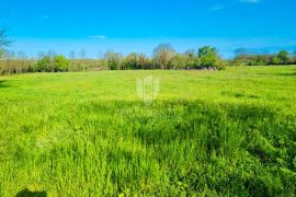 Poreč, okolica, rubno zemljište sa građevinskom dozvolom, Poreč, Land