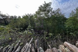 Građevinsko zemljište, Orbanići, idealno za kuću sa preljevnim bazenom, Marčana, Terreno