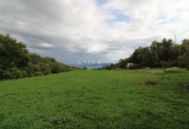 Rabac - kuće 235 m2 na imanju od 9.560 m2, Labin, Kuća