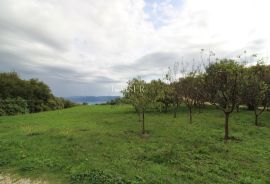 Rabac - kuće 235 m2 na imanju od 9.560 m2, Labin, House