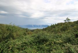 Rabac - kuće 235 m2 na imanju od 9.560 m2, Labin, Kuća