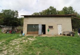 Rabac - kuće 235 m2 na imanju od 9.560 m2, Labin, Famiglia