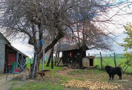 Plaški , Jezero - Kuća na osami s velikom okućnicom!, Plaški, Famiglia