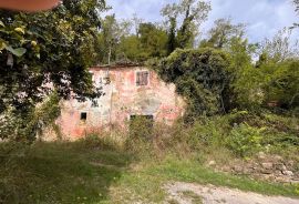 Istra, Oprtalj-okolica, autohtono istarsko imanje za obnovu, Oprtalj, Casa