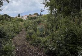 Istra, Žminj, okolica - građevinsko zemljište u manjem naselju, Žminj, Arazi